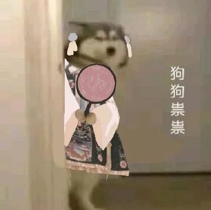 狗狗祟祟
