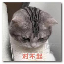 对不起