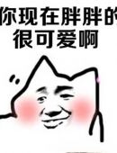 你现在胖胖的 很可爱啊