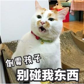 倒霉孩子 别碰我东西