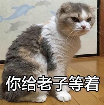 你给老子等着