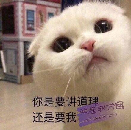 你是要讲道理 欧善软件园 还是要我 www.opdown
