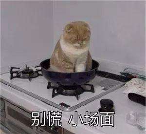 别慌小场面