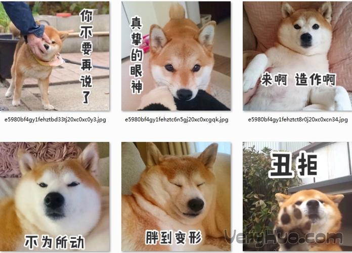 你不要再说了 真挚的眼神 来啊造作啊 e5980bf4gy1fehztbd33tj20xc0xc0y3.jpg e5980bf4gy1fehztc6n5gj20xc0xcgqk.jpgg e5980bf4gy1fehztct8r0j20xc0xcn34.jpgg 丑拒 不为所动 胖到变形