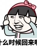 么时候回来