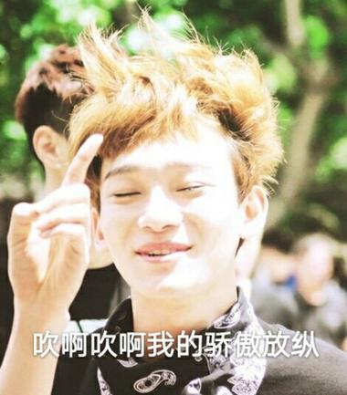 吹啊吹啊我的骄傲放纵