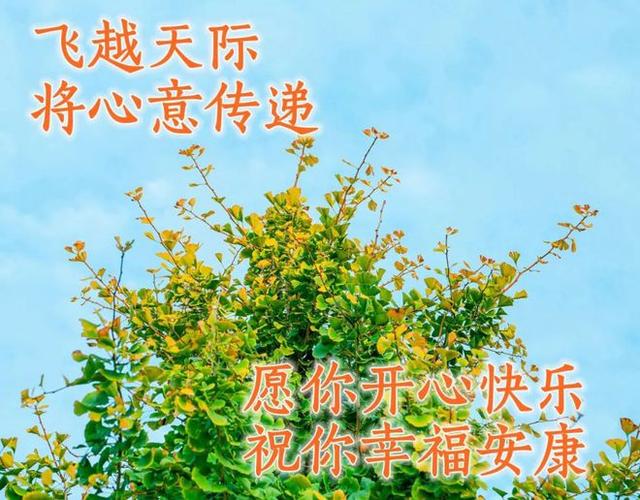 飞越天际 将心意传递 愿你开心快乐 祝你幸福安康