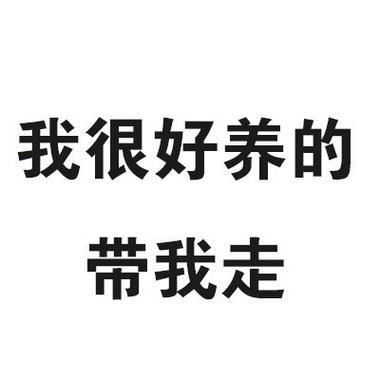 我很好养的 带我走