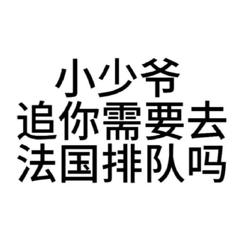小少爷 追你需要去 法国排队吗