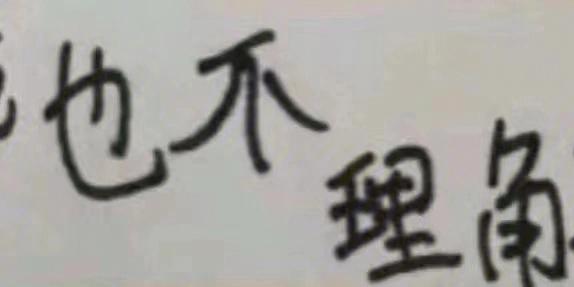 也不理角