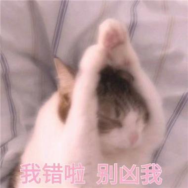 我错啦别凶我