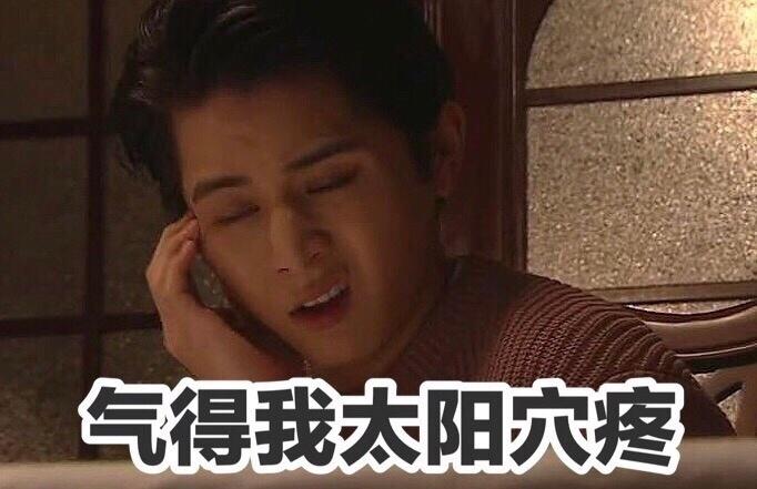 气得我太阳穴疼