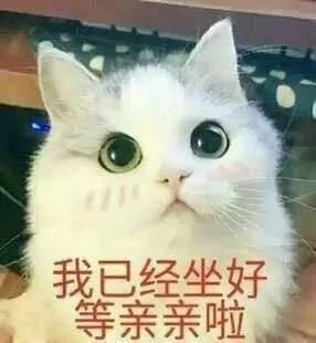 我已经坐好 等亲亲啦