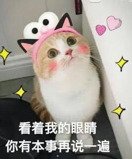 看着我的眼睛 你有本事再说一遍
