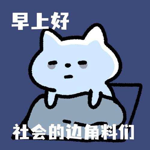 早上好 社会的边角料们