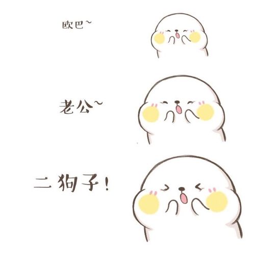 欧巴~ 老公~ 二狗子！