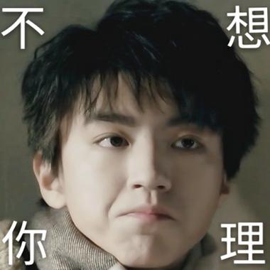 不 想 你 理