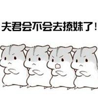 夫君会不会去撩妹了