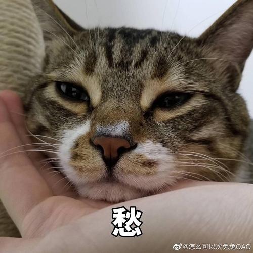愁 @怎么可以次免免QAQ