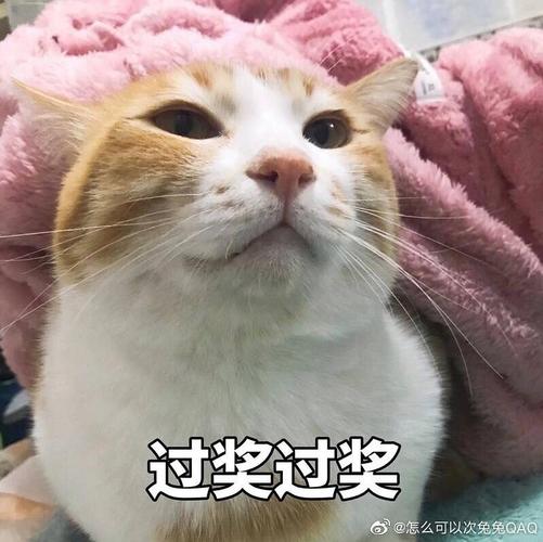 过奖过奖 @怎么可以次免免QQ