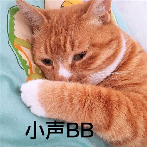 小声BB