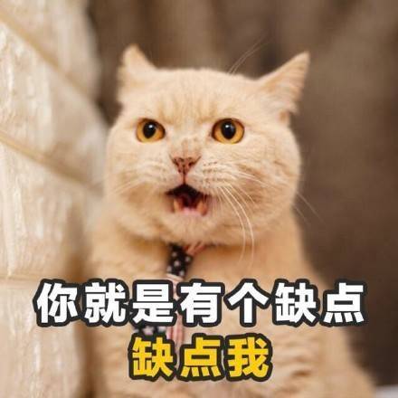 你就是有个缺点 缺点我