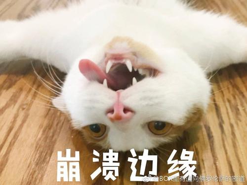 崩溃边缘