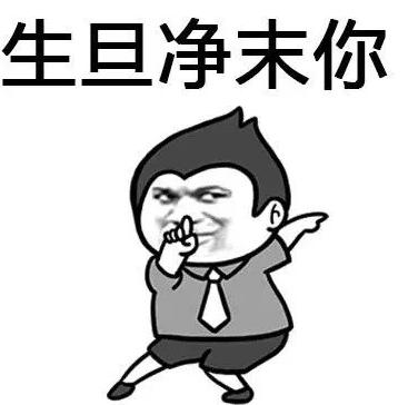 生旦净未你