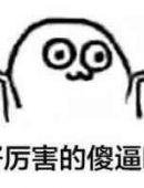 厉害的傻逼
