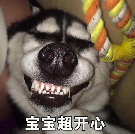 宝宝超开心
