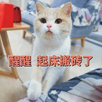 醒醒起床搬砖了
