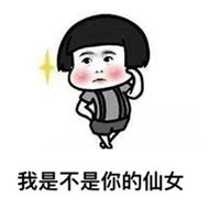 我是不是你的仙女