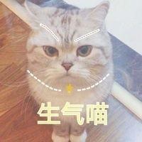 生气喵