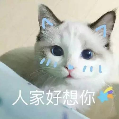 人家好想你