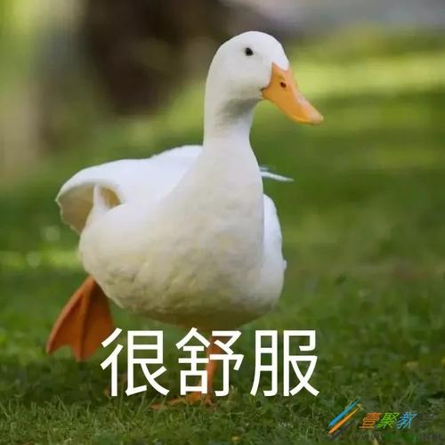 很舒服