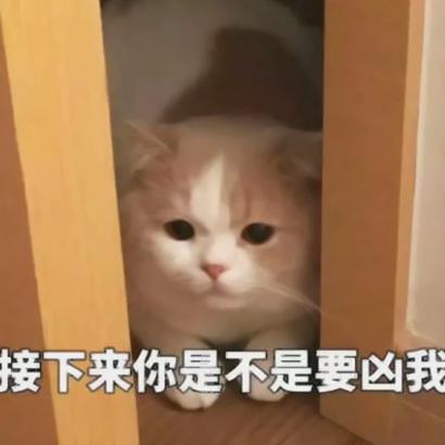接下来你是不是要凶我