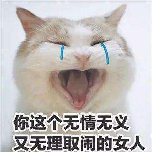 你这个无情无义 又无理取闹的女人