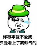 你根本就不爱我 只是看上了我帅气的