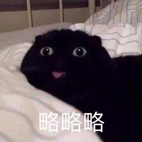 略略略