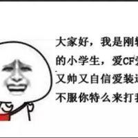 大家好，我是刚 的小学生，爱CF 又帅又自信爱装 不服你特么来打