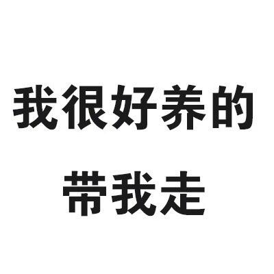 我很好养的 带我走