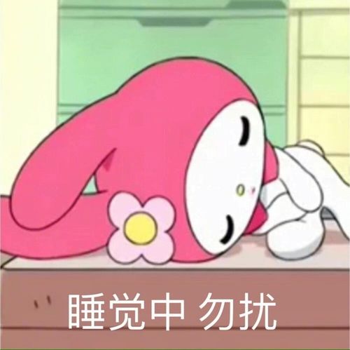 睡觉中勿扰