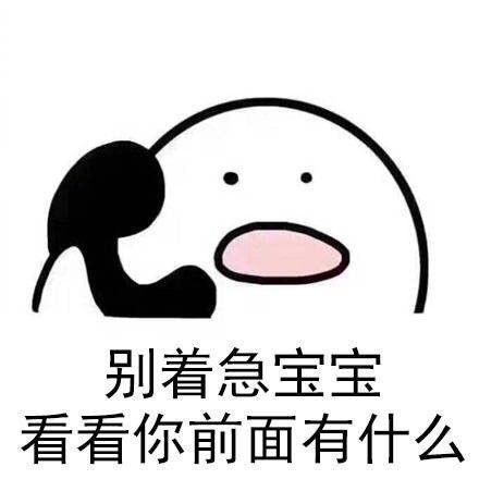 别着急宝宝 看看你前面有什么