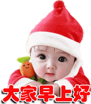 大家早上好