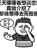 真给介绍
