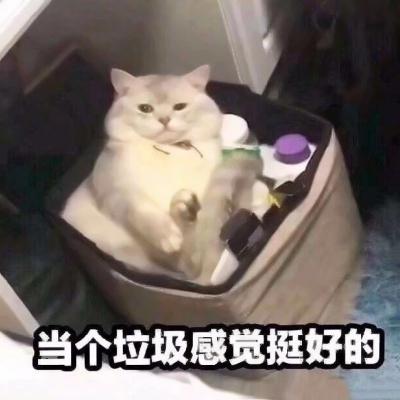 当个垃圾感觉挺好的