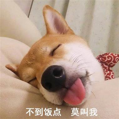 不到饭点 莫叫我