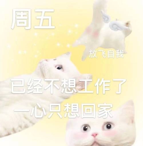 周五 放飞自我 已经不想工作了 一心只想回家