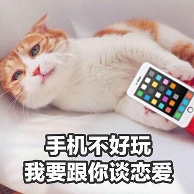 手机不好玩 我要跟你谈恋爱