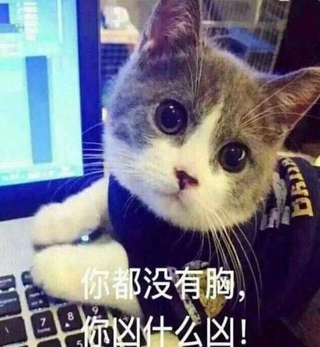 你都没有胸 你区什么区！